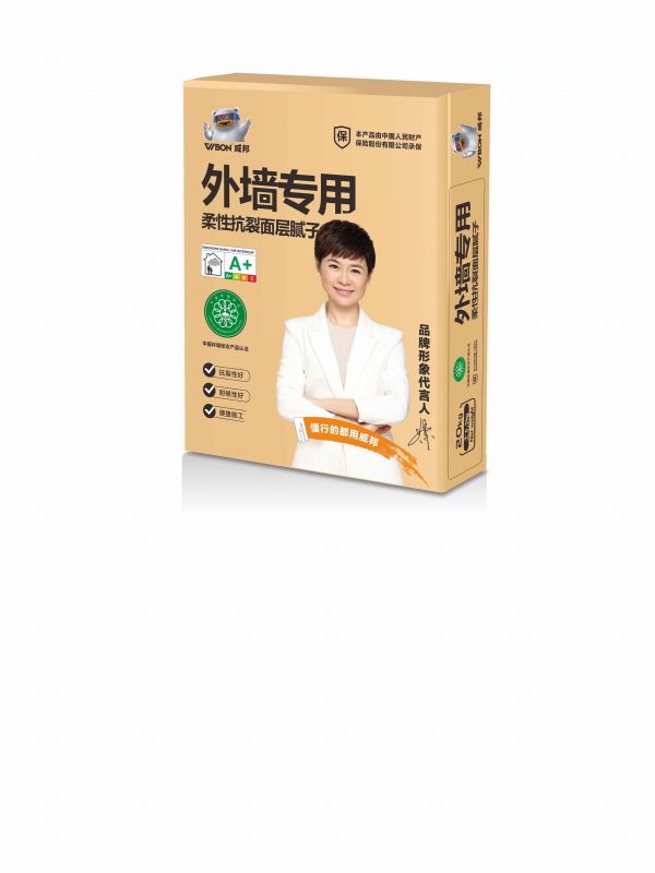 VB外牆專用柔性抗裂找平膩子