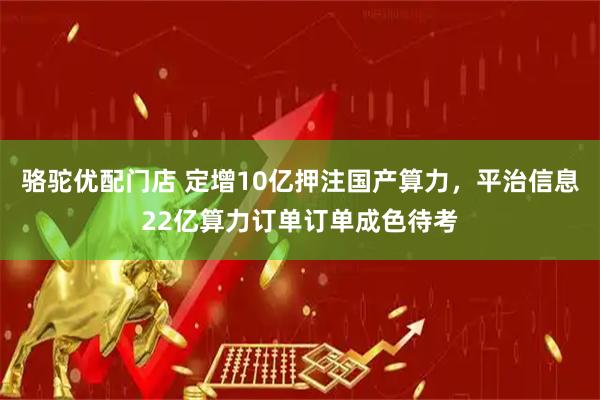 骆驼优配门店 定增10亿押注国产算力，平治信息22亿算力订单订单成色待考