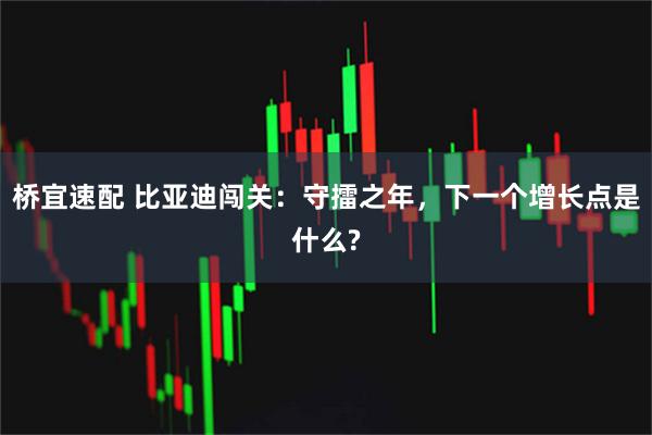 桥宜速配 比亚迪闯关：守擂之年，下一个增长点是什么?