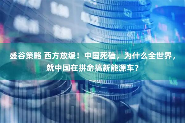 盛谷策略 西方放缓！中国死磕，为什么全世界，就中国在拼命搞新能源车？