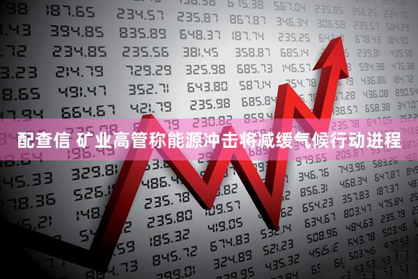 配查信 矿业高管称能源冲击将减缓气候行动进程