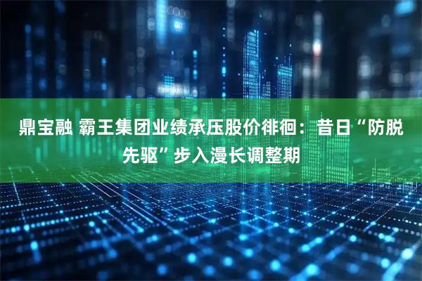 鼎宝融 霸王集团业绩承压股价徘徊：昔日“防脱先驱”步入漫长调整期