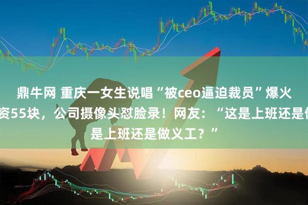 鼎牛网 重庆一女生说唱“被ceo逼迫裁员”爆火：半月工资55块，公司摄像头怼脸录！网友：“这是上班还是做义工？”