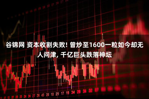 谷锦网 资本收割失败! 曾炒至1600一粒如今却无人问津, 千亿巨头跌落神坛