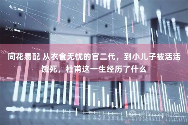 同花易配 从衣食无忧的官二代，到小儿子被活活饿死，杜甫这一生经历了什么