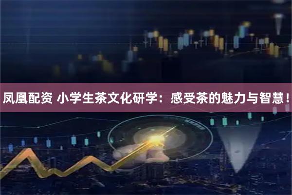 凤凰配资 小学生茶文化研学:感受茶的魅力与智慧!