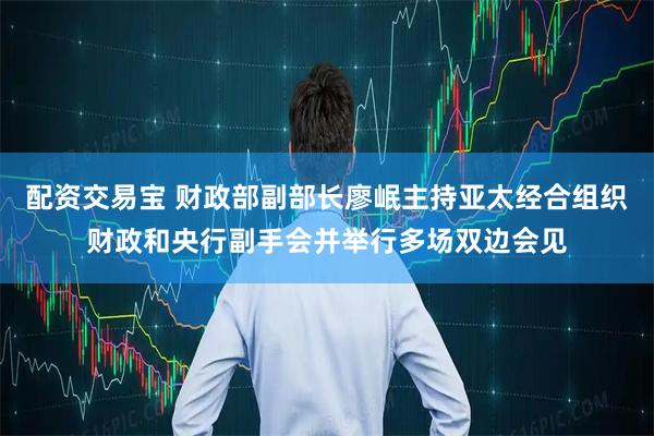 配资交易宝 财政部副部长廖岷主持亚太经合组织财政和央行副手会并举行多场双边会见