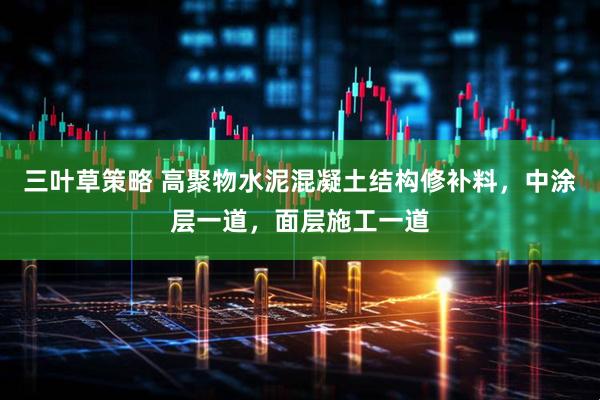 三叶草策略 高聚物水泥混凝土结构修补料，中涂层一道，面层施工一道