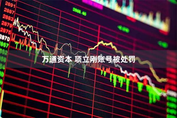 万通资本 项立刚账号被处罚