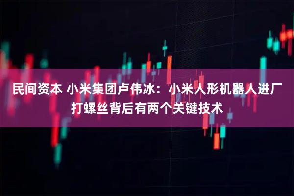 民间资本 小米集团卢伟冰：小米人形机器人进厂打螺丝背后有两个关键技术