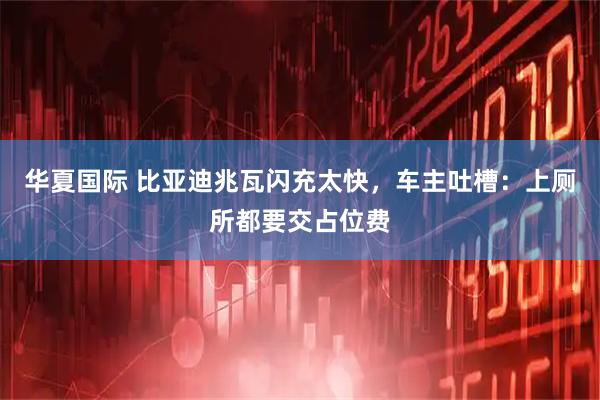 华夏国际 比亚迪兆瓦闪充太快，车主吐槽：上厕所都要交占位费