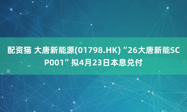 配资猫 大唐新能源(01798.HK)“26大唐新能SCP001”拟4月23日本息兑付