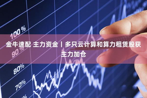 金牛速配 主力资金丨多只云计算和算力租赁股获主力加仓