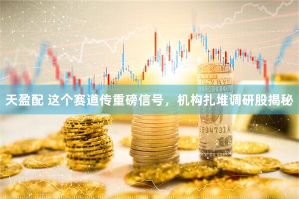 天盈配 这个赛道传重磅信号，机构扎堆调研股揭秘