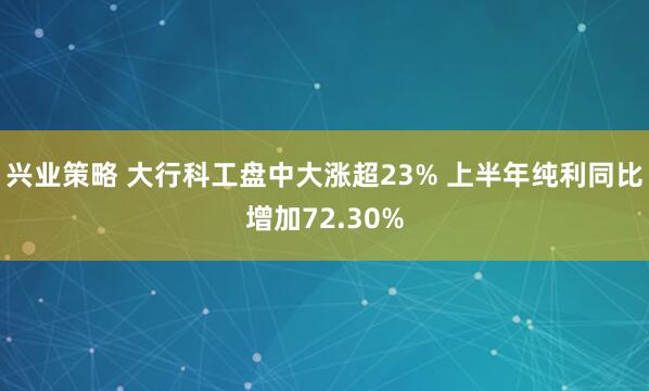 兴业策略 大行科工盘中大涨超23% 上半年纯利同比增加72.30%